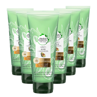 6 x Herbal Essences PURE:renew Sulfatfrei Aloe & Avocadoöl Conditioner Haarpflege je 180ml